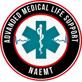 Logo AMLS