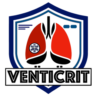 Logo VENTICRIT