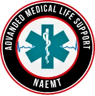 Logo AMLS