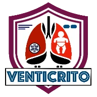 Logo VENTICRIT